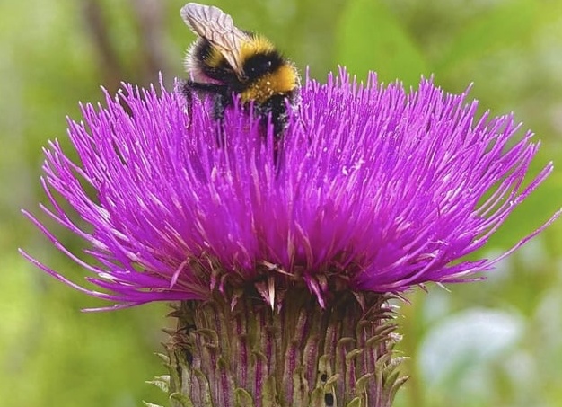 On The Job — трудись как пчёлка, фрилансер [Программы для Mac]